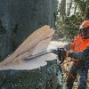 Motosega Stihl MS 661 C-M 80cm - immagine 3