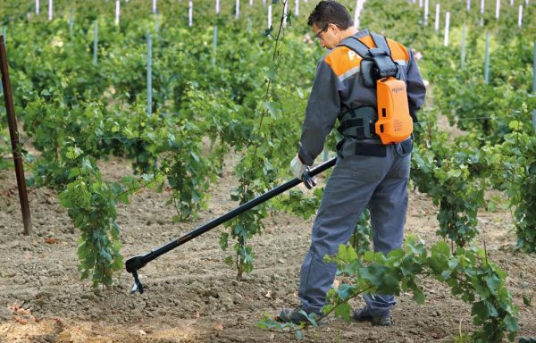 Zappatrice - Sarchiatore a Batteria  Cultivion Pellenc - immagine 4
