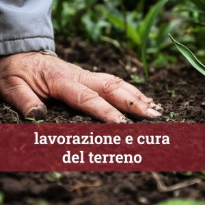 Fresatura e Trattamento del Terreno