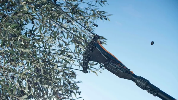 Abbacchiatore Pellenc Testa Power 48 SOLO - immagine 5