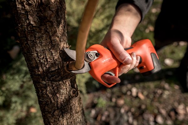 Forbici da potatura a batteria Vulcano E-30 TP Stocker - immagine 3