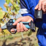 forbici da potatura a batteria