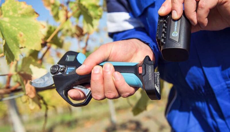 forbici da potatura a batteria