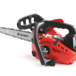 Motosega da Potatura Carving BlueBird CS 250 - Precisione ed Efficienza