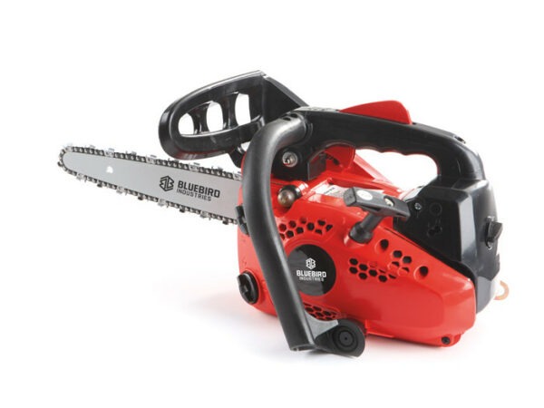 Motosega da Potatura Carving BlueBird CS 250 - Precisione ed Efficienza
