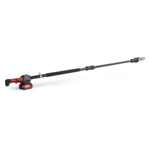Potatore a palo telescopico a batteria PCS 22-10 BlueBird