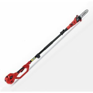 Potatore a palo telescopico a batteria R3S 40 V BlueBird