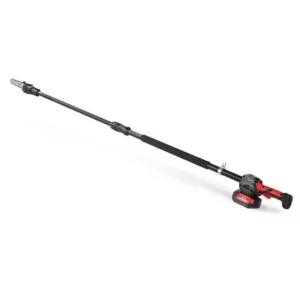 Potatore telescopico a batteria PCS 22-10A BlueBird