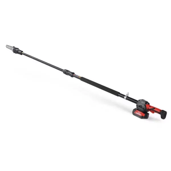 Potatore telescopico a batteria PCS 22-10A BlueBird